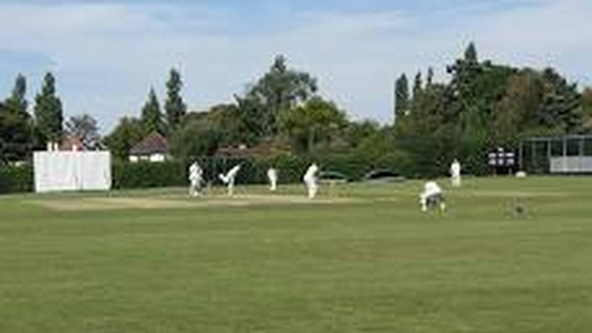 Junior Cricket Training (U9) photo
