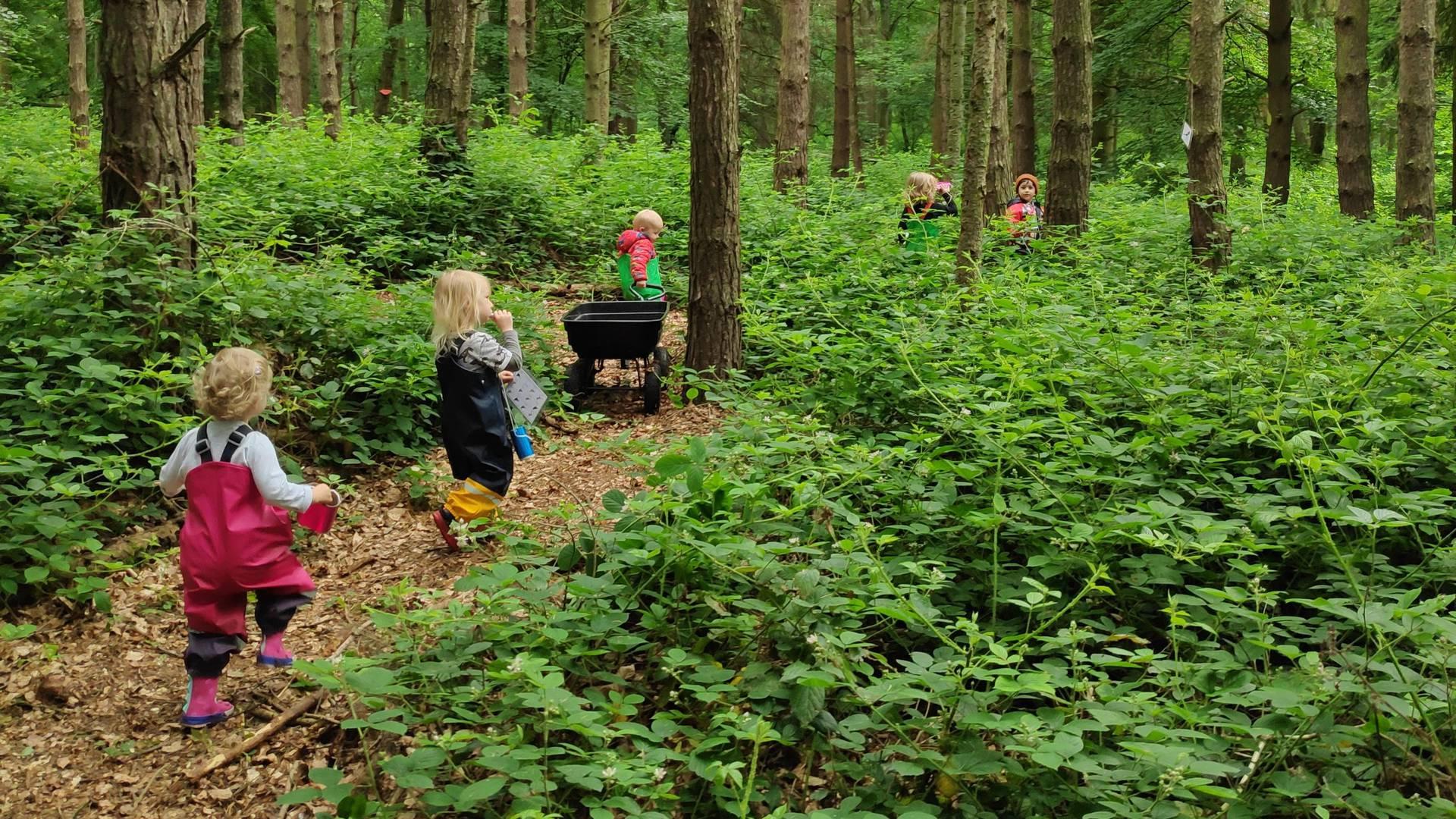 Sutton Outdoor Preschool photo