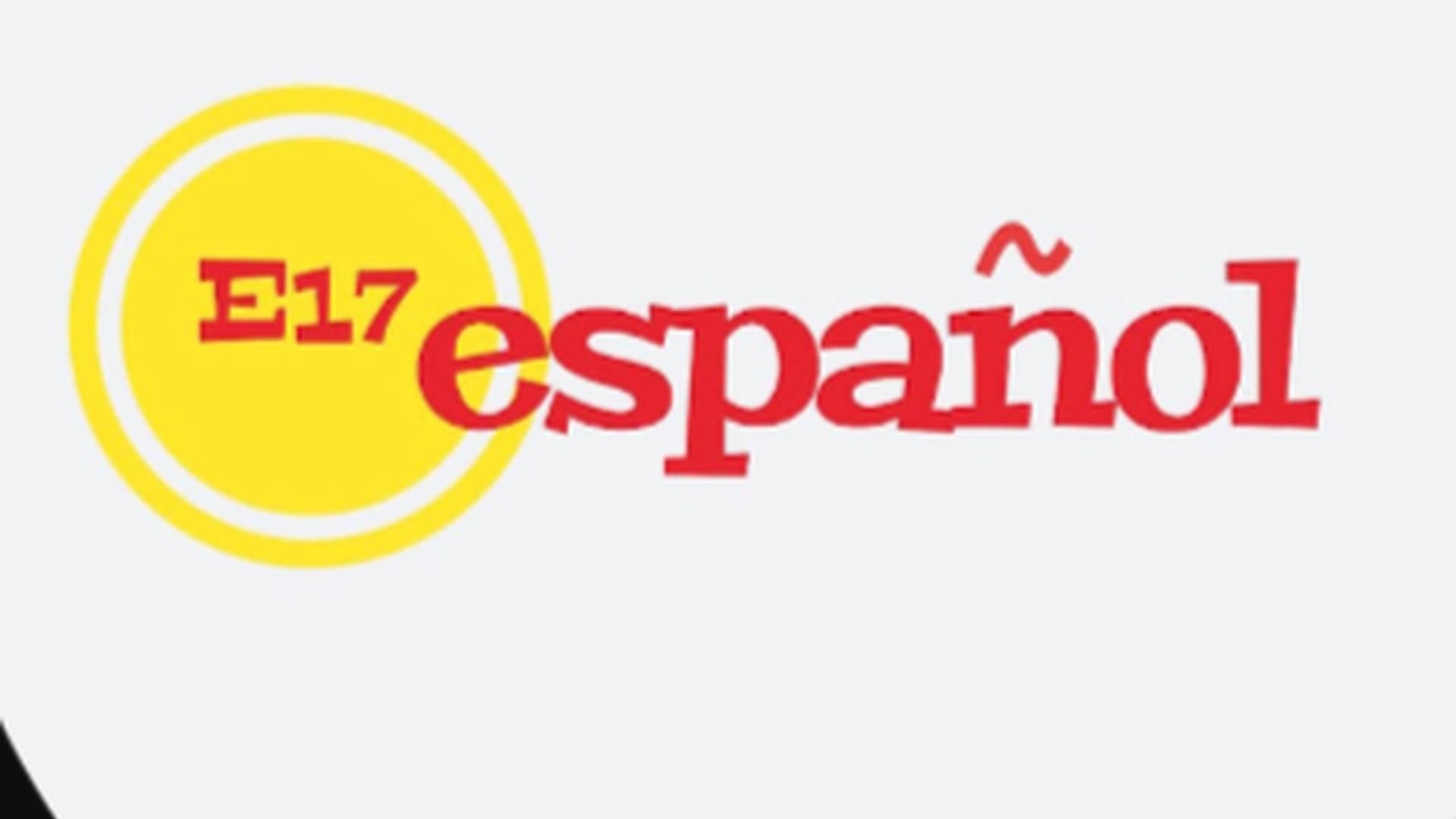 Spanish classes Beginner (2-4) photo