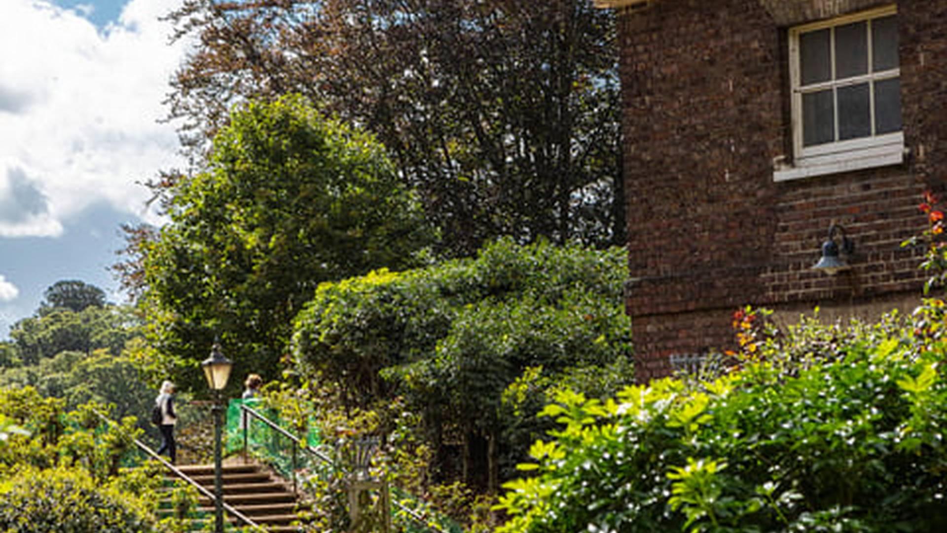 Members' Week: photo