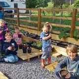 Activity image