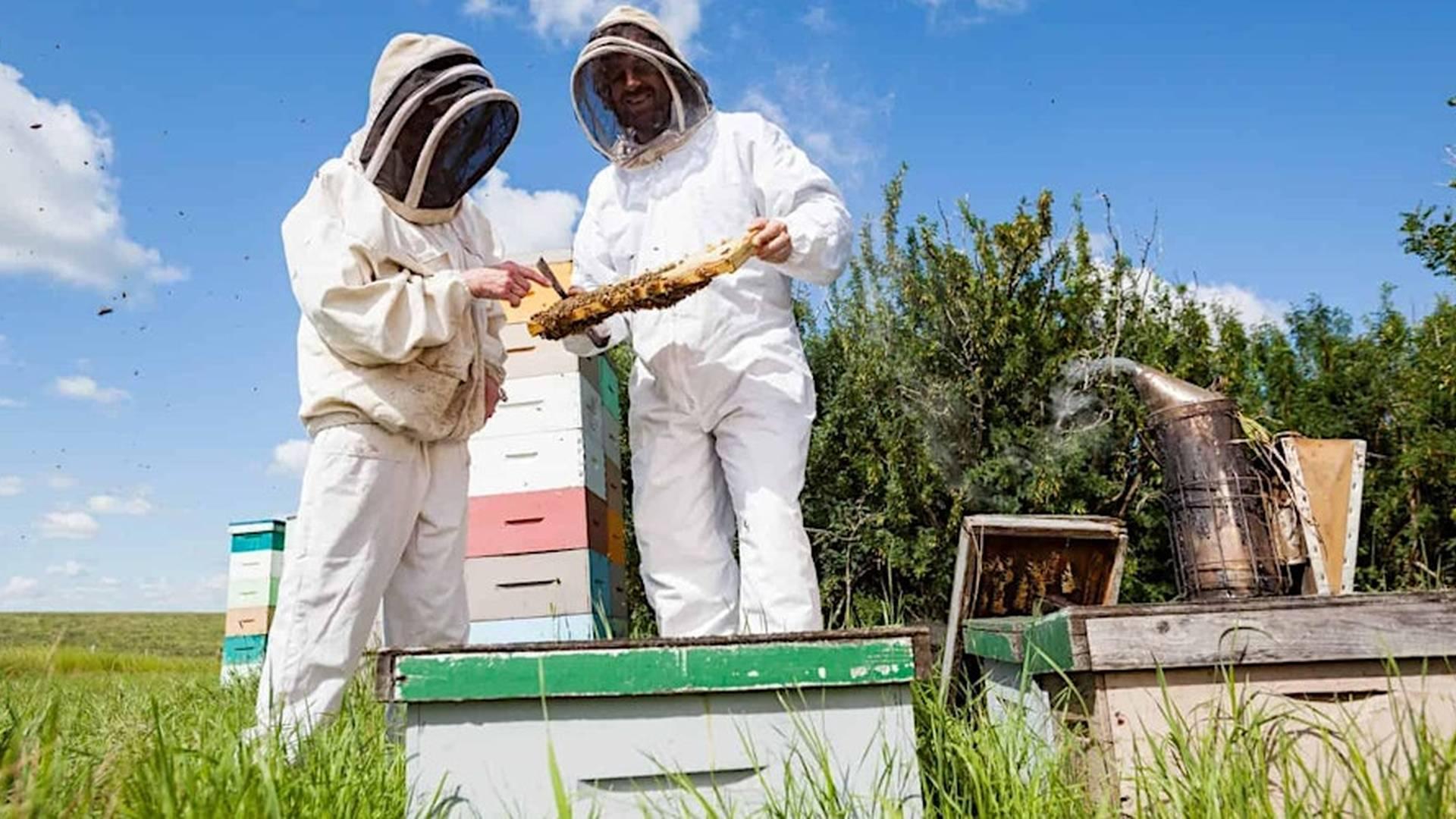 Become a Beekeeper. photo