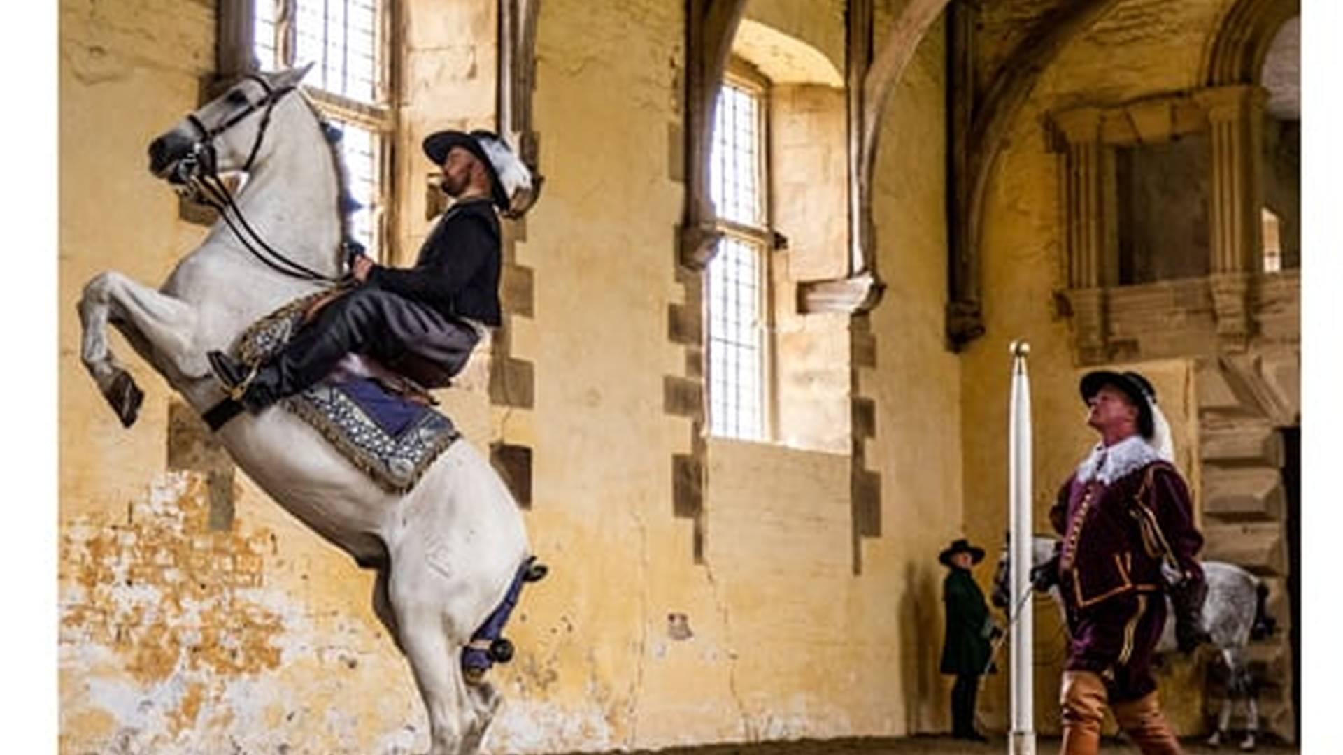 Cavendish Horses: photo