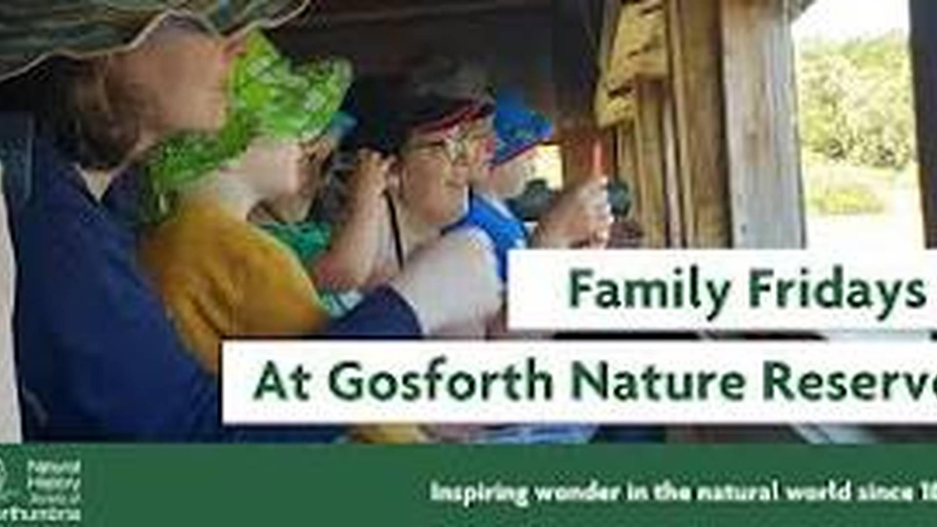 Family Fridays - Bugs and Birds at Gosforth Nature Reserve photo