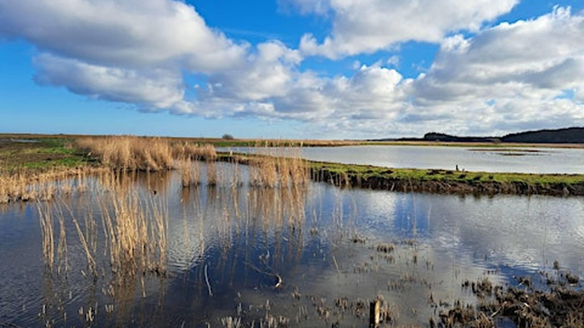 Creative writing outside - performance photo