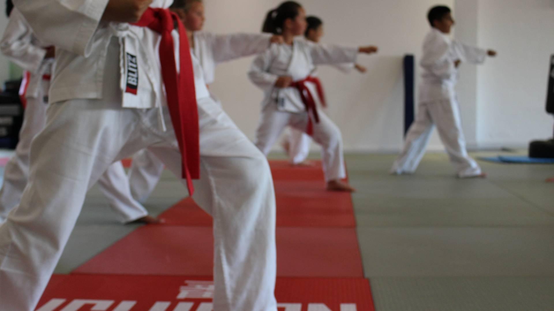 Ichiban Dojo photo