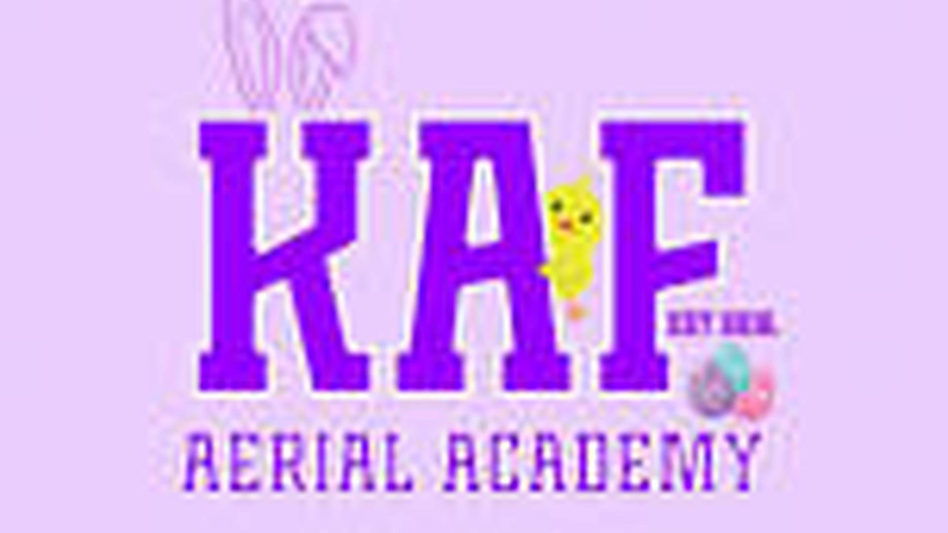 Kids Beginner/Intermeeds Hoop or Silks photo