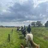 Activity image