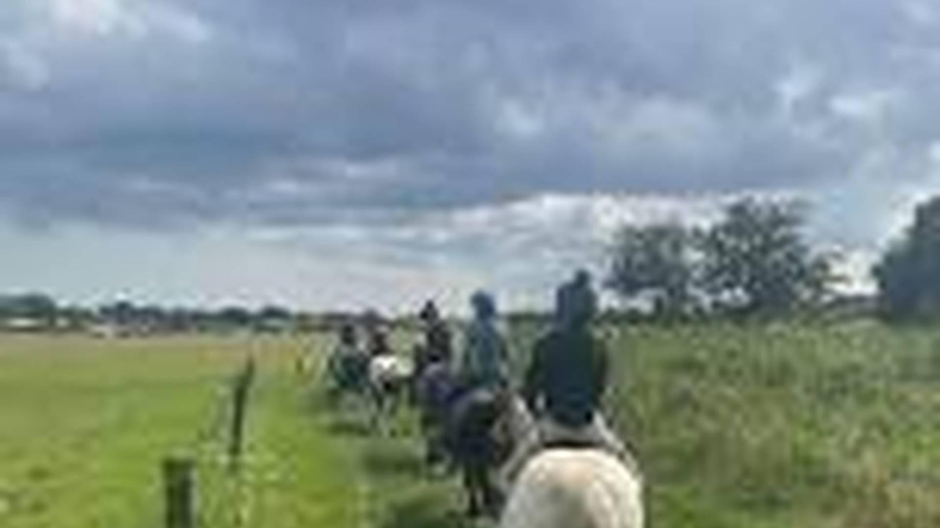 Residential Summer Pony Camp photo