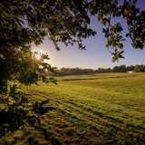 Activity image