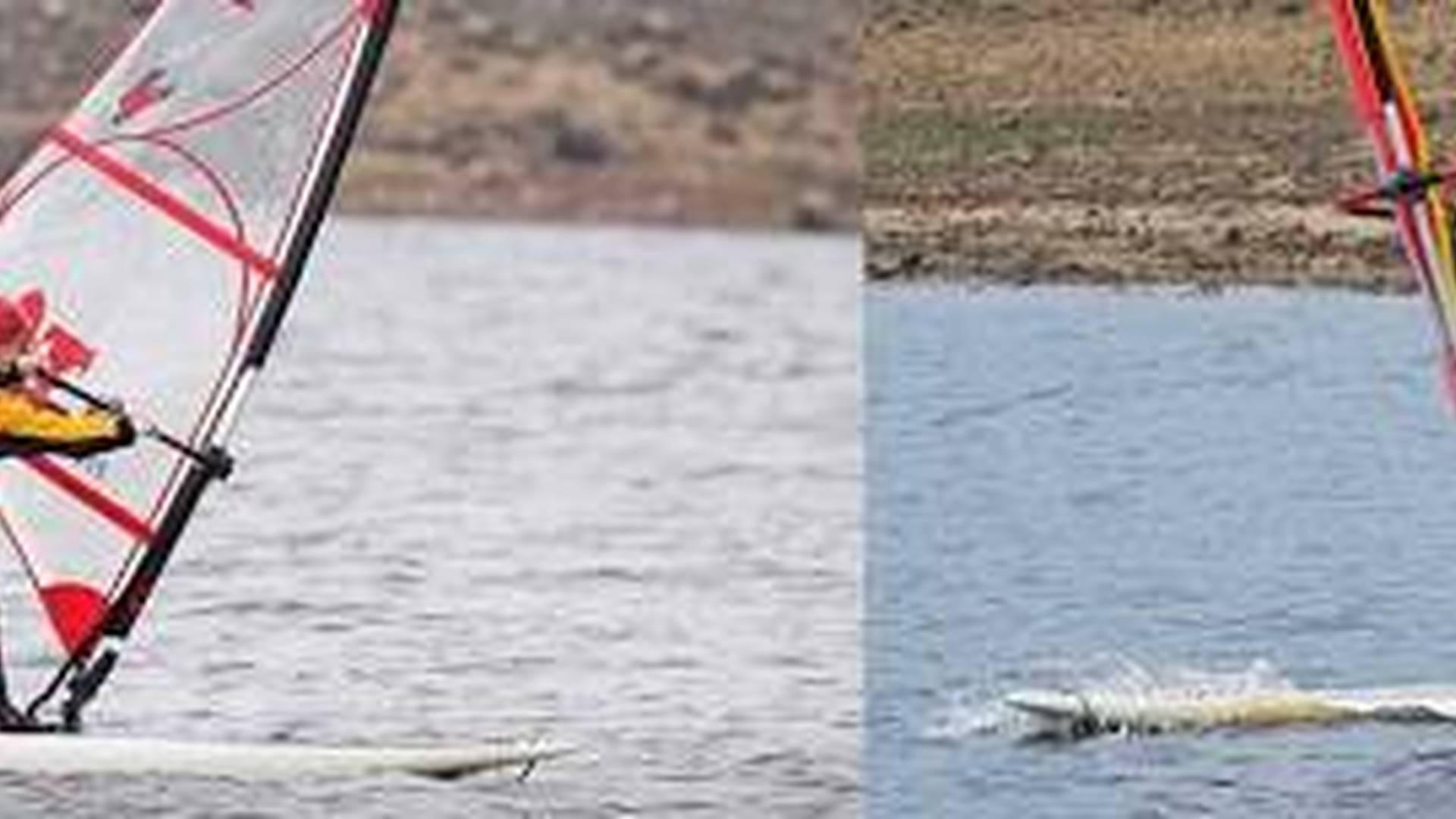 Windsurf Beginner 6 photo