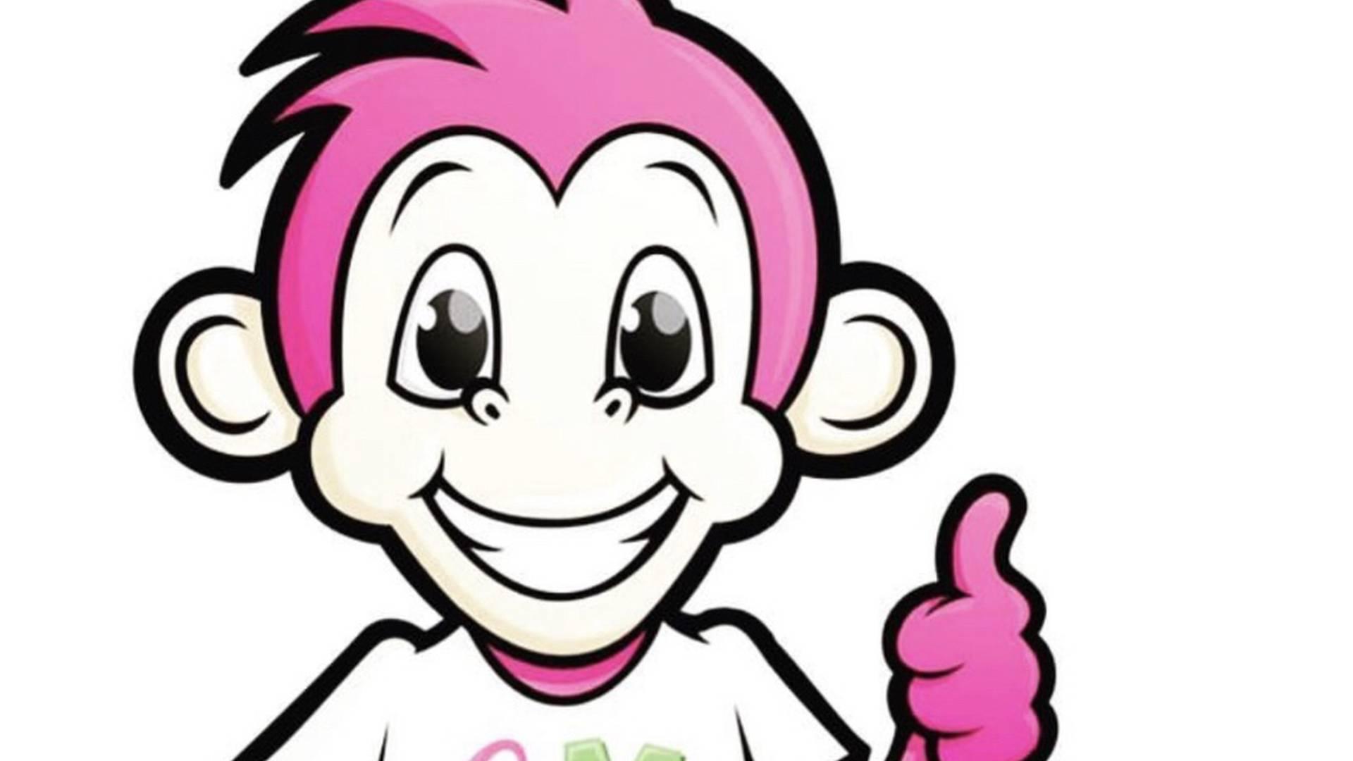 Cheeki Monkeys photo