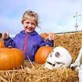 Activity image