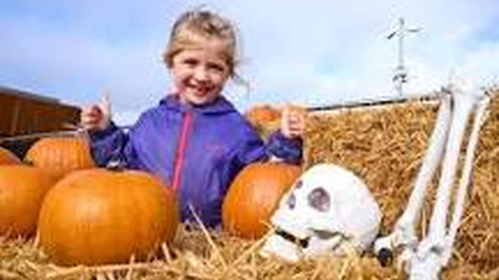 Halloween Family Fun Day! photo