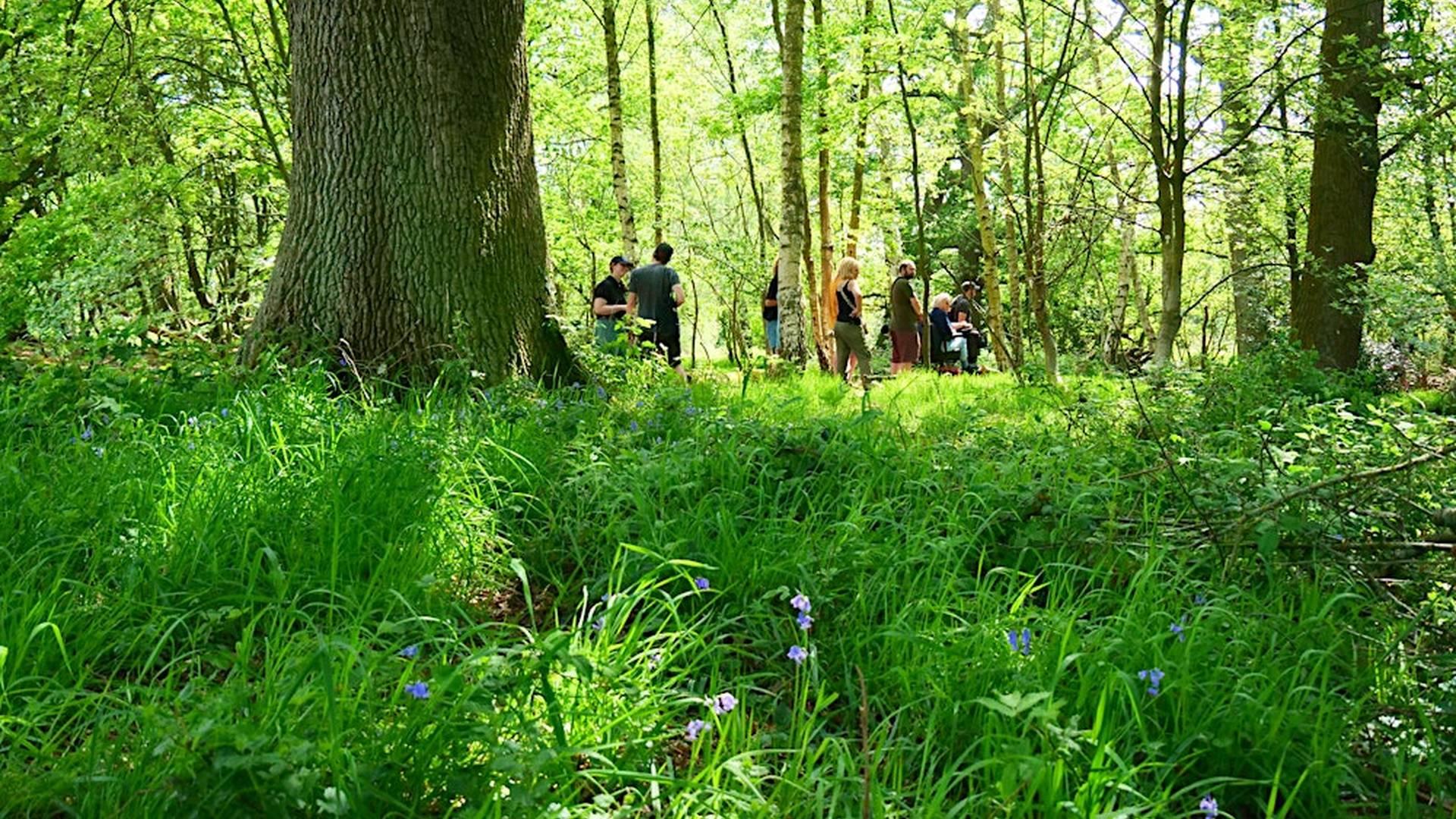 NWT Sweet Briar Marshes: Walk with the warden photo