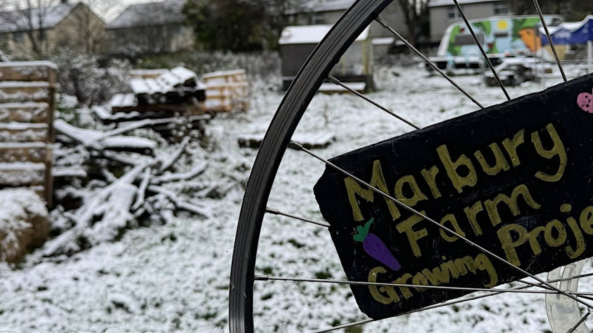 Winter wassail at Marbury Road Edible Garden photo