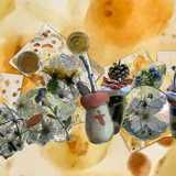 Activity image