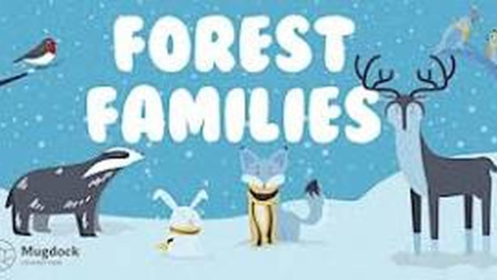 Forest Families: All About Birds photo