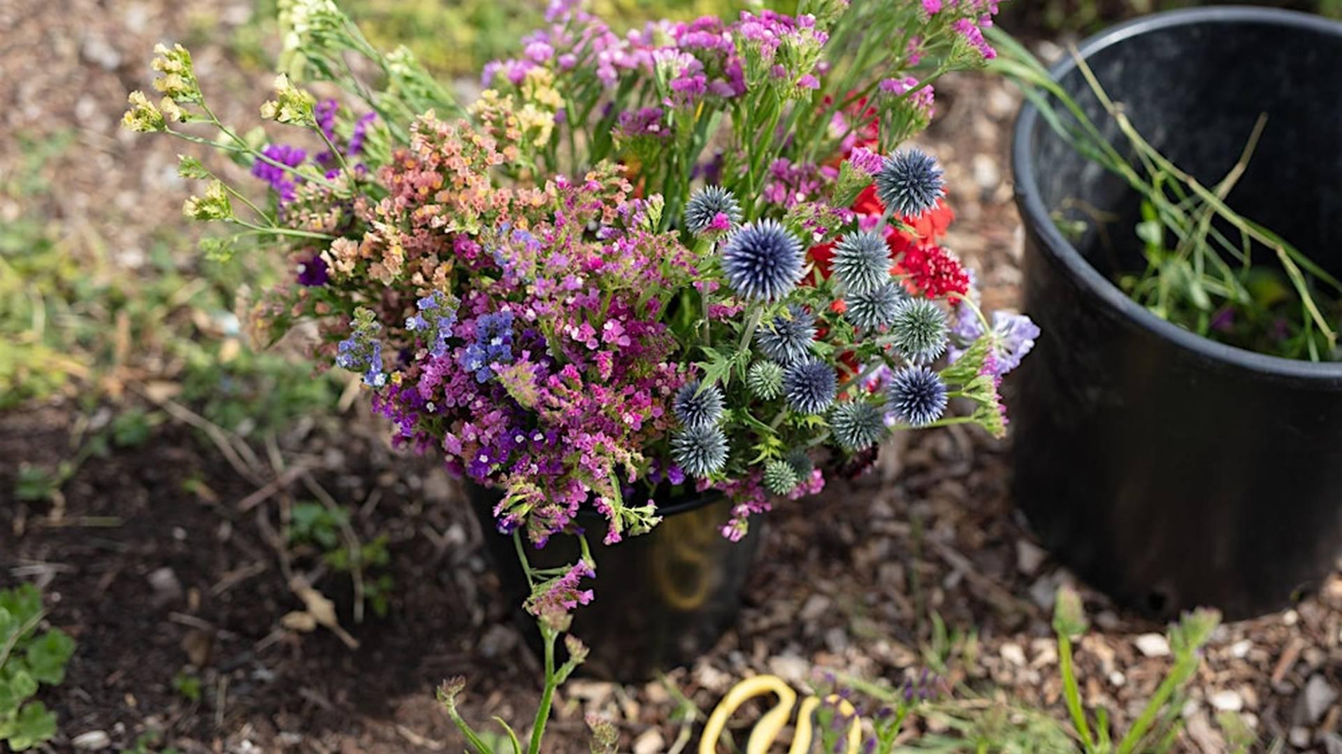Flower Farmer to Florist - One Day Course photo