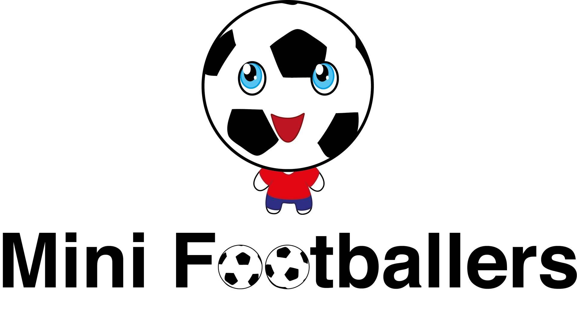 Mini Footballers photo
