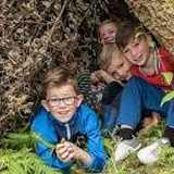 Activity image