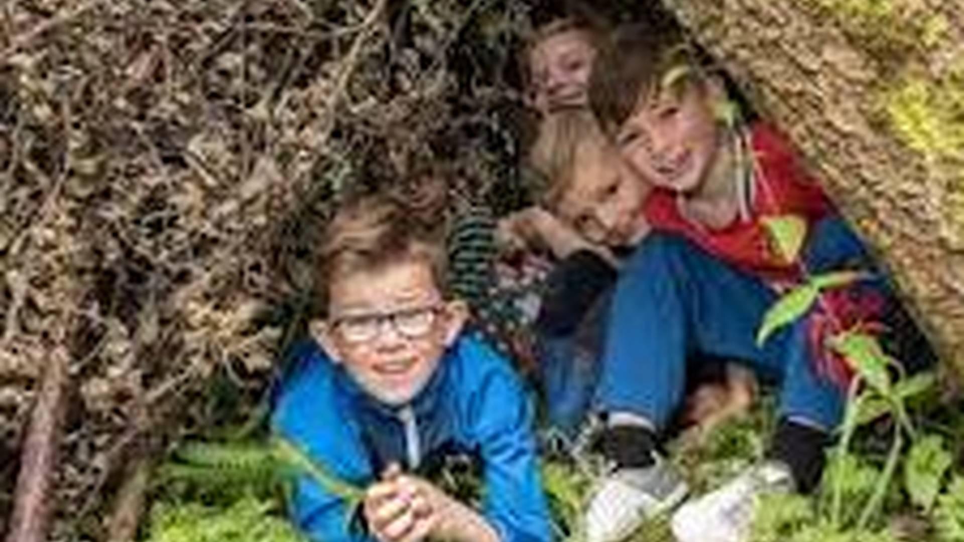 Woodland Survival at Brockholes Nature Reserve photo