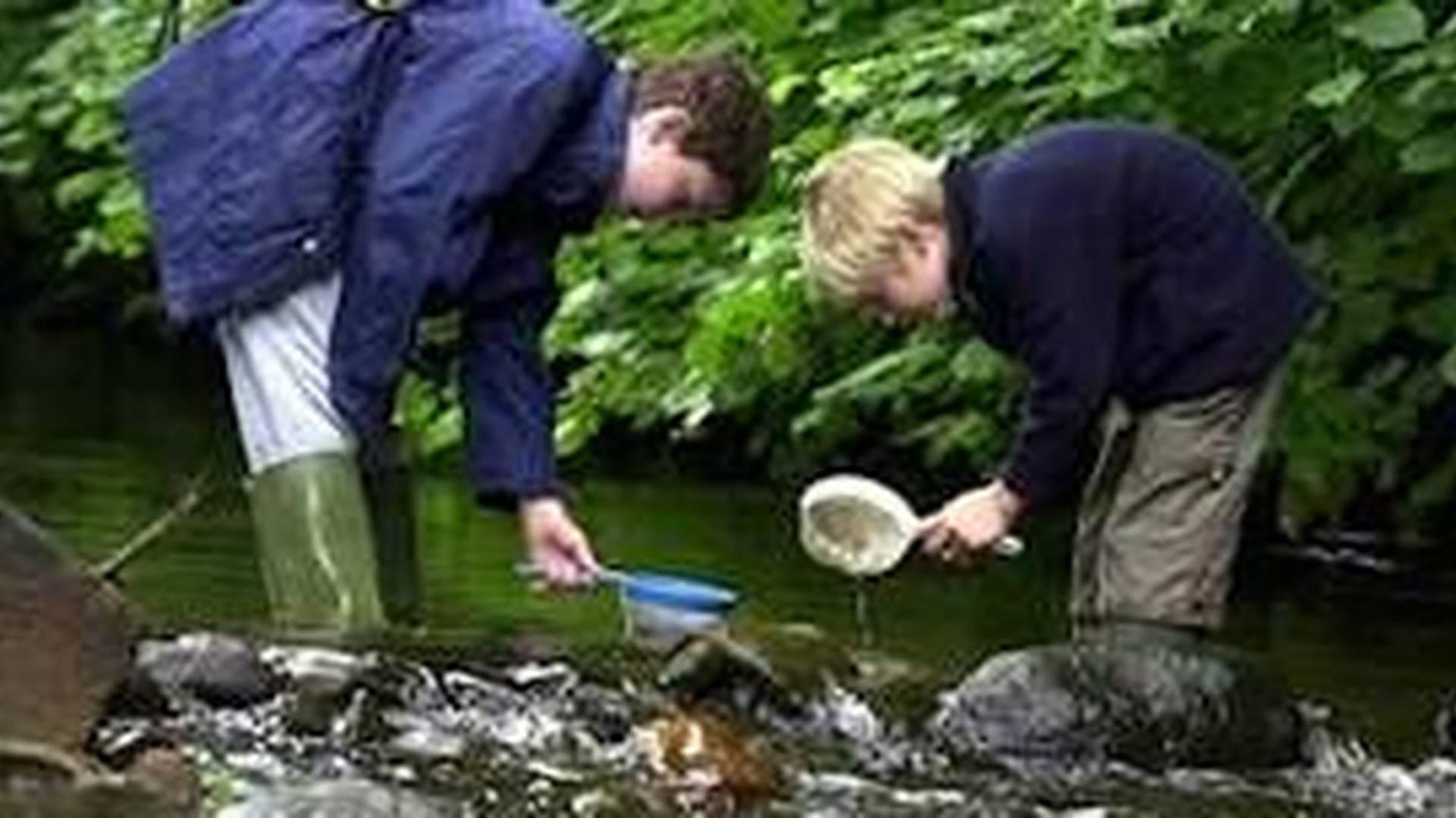 Extreme River Dipping photo