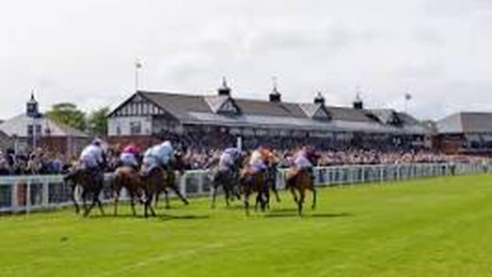Race Meeting photo
