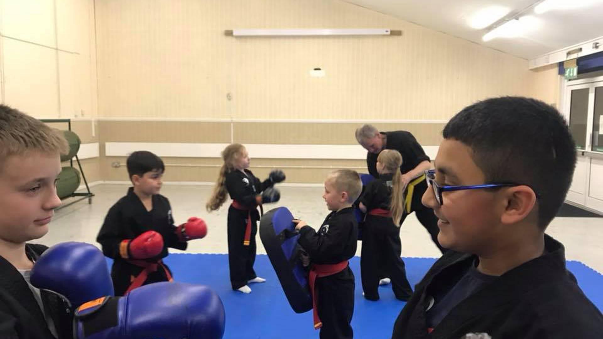 All Abilities Martial Art photo