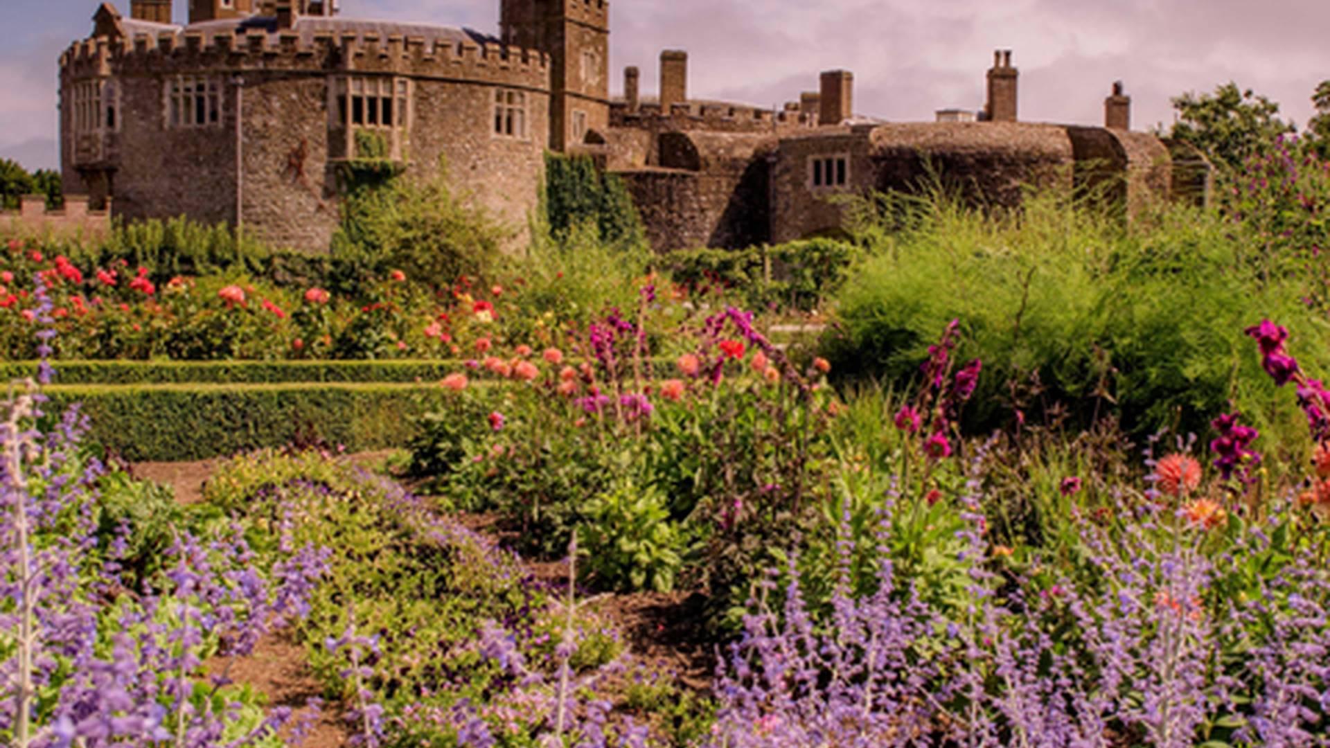 Evening Garden Tour At Walmer Castle photo
