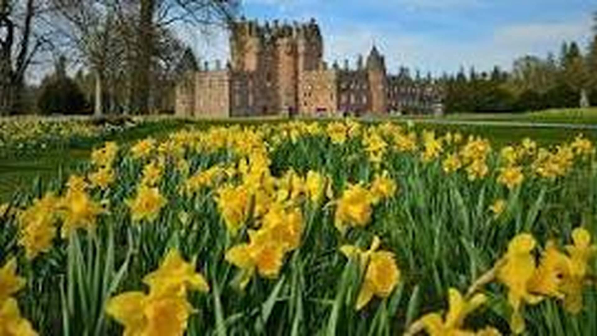 Easter Fun at Glamis Castle photo