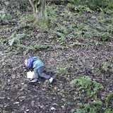 Activity image