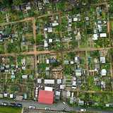 Activity image