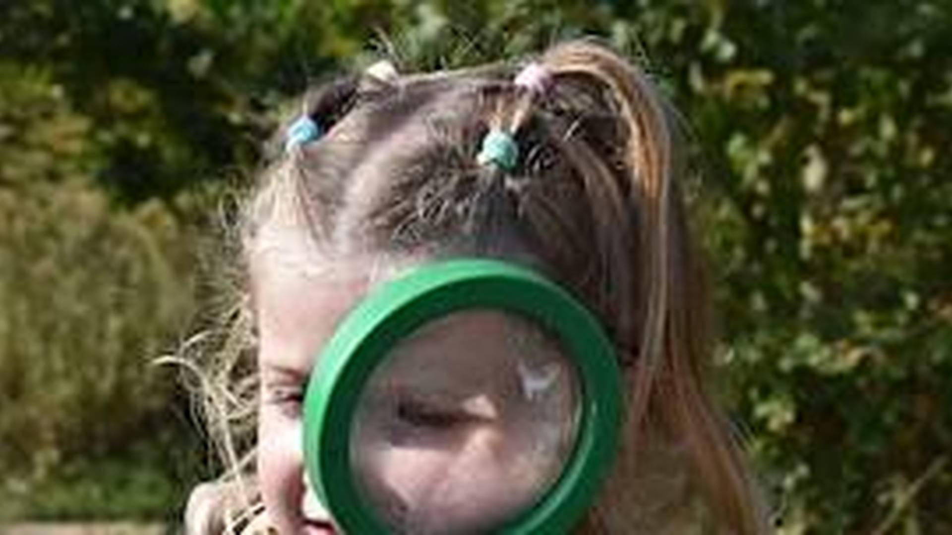 Abbotts Hall Nature Tots & Babies photo