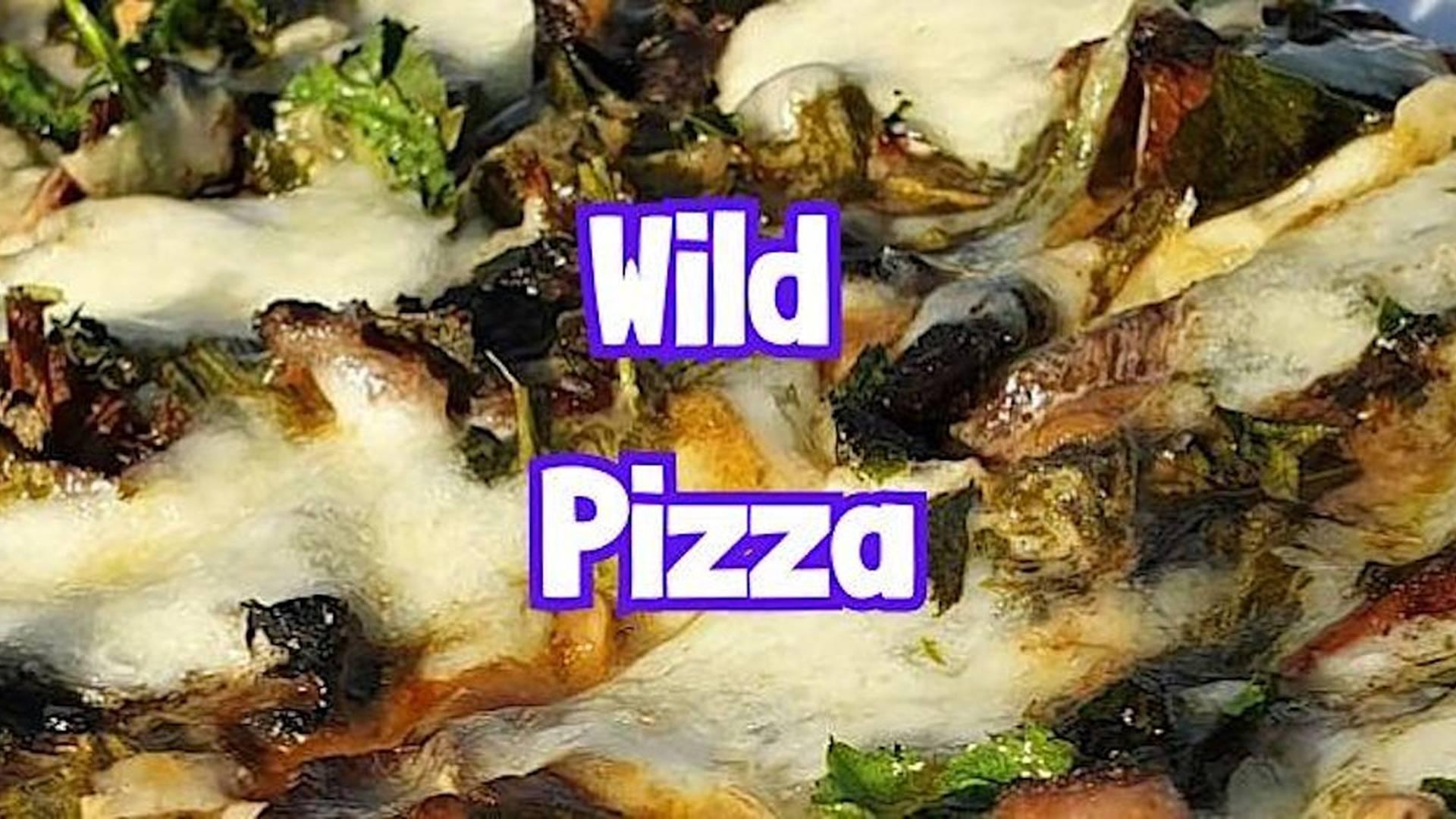 SPECIAL: WILD PIZZA near Gayton (Northamptonshire) photo