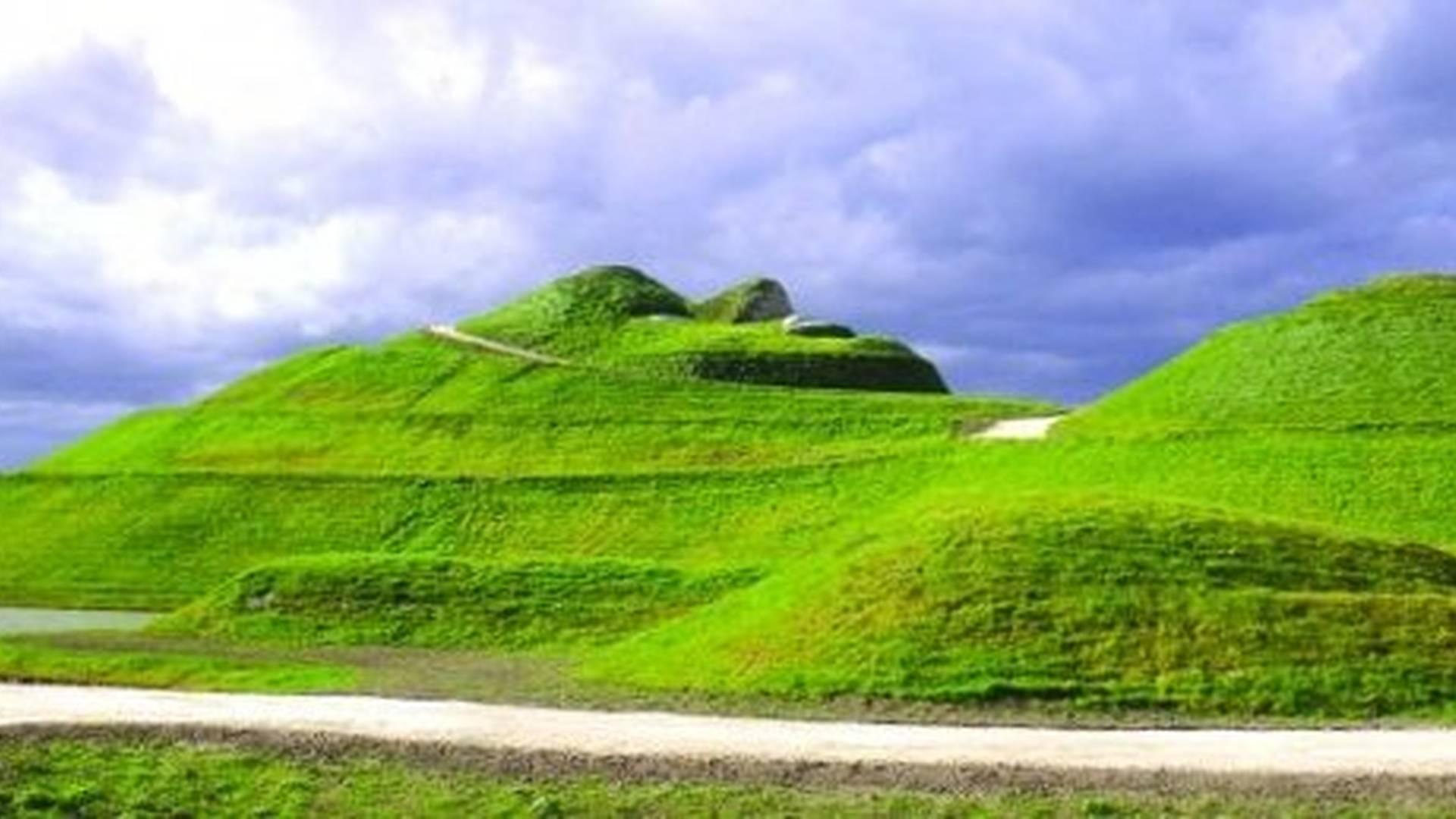 Northumberlandia Food and Craft Market photo