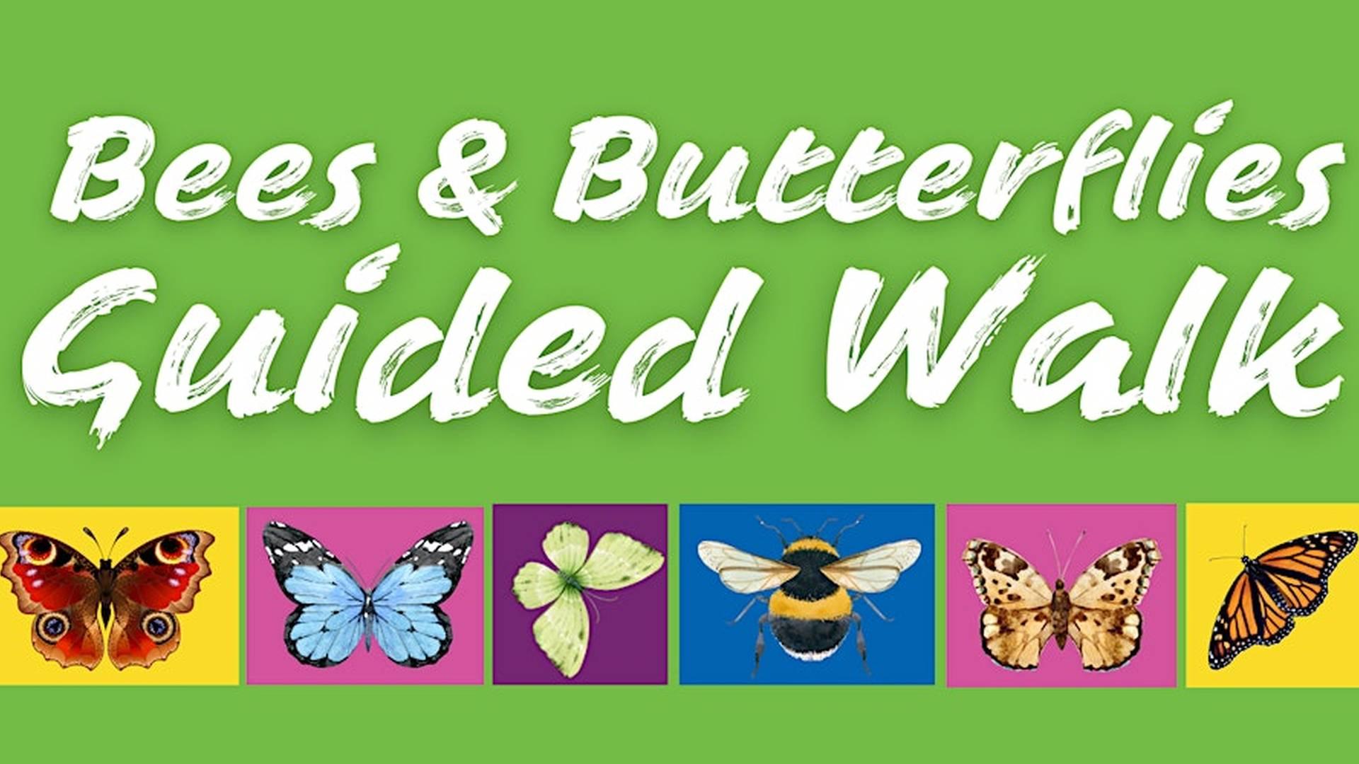 Bee's & Butterfly's Guided Walk photo