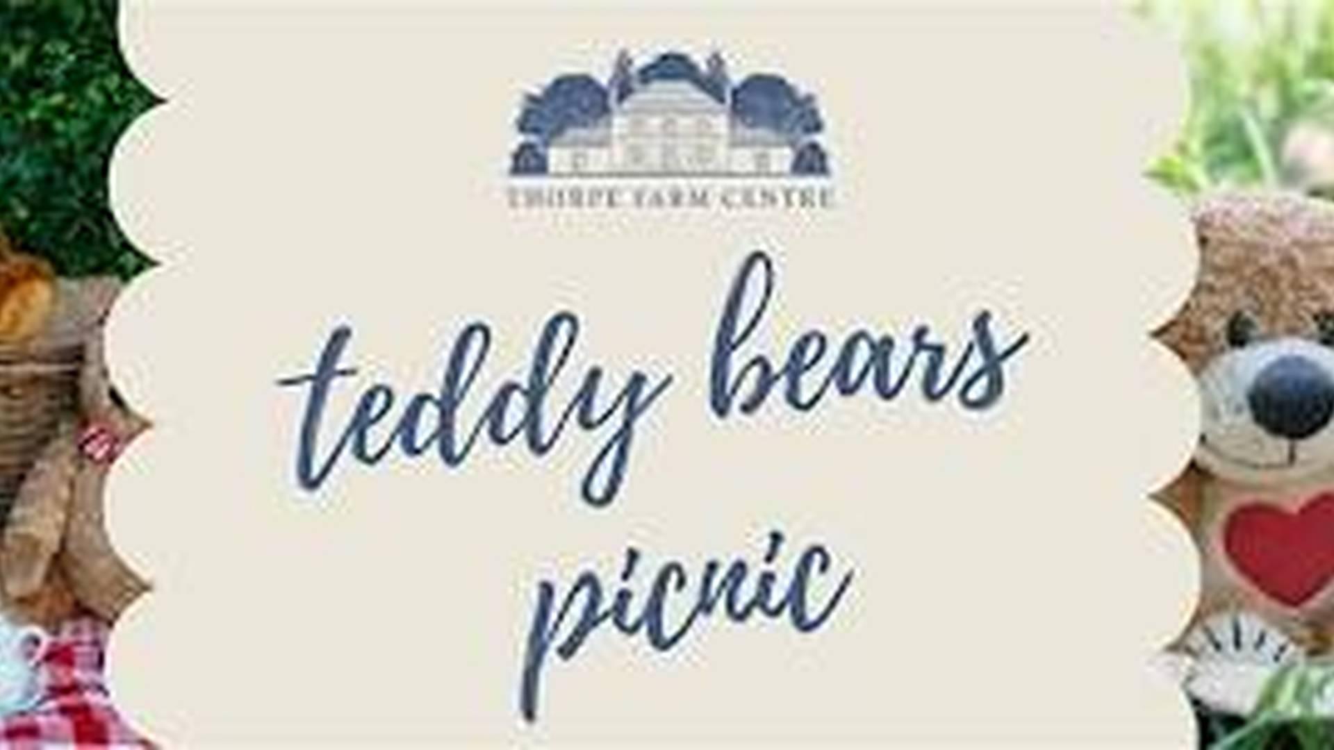 Teddy Bears' Picnic photo