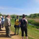 Activity image