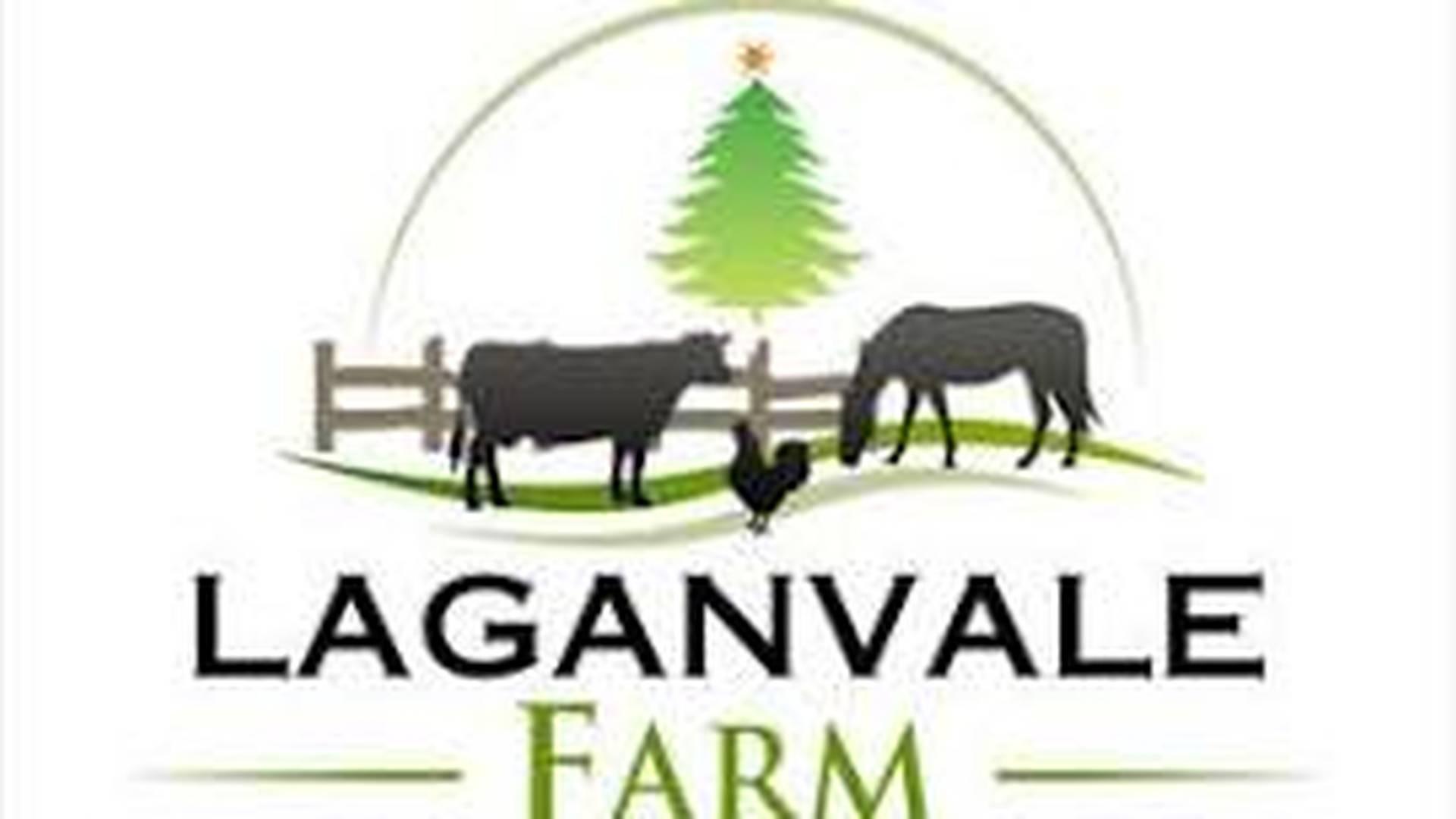 Christmas Party Time at Laganvale Farm photo