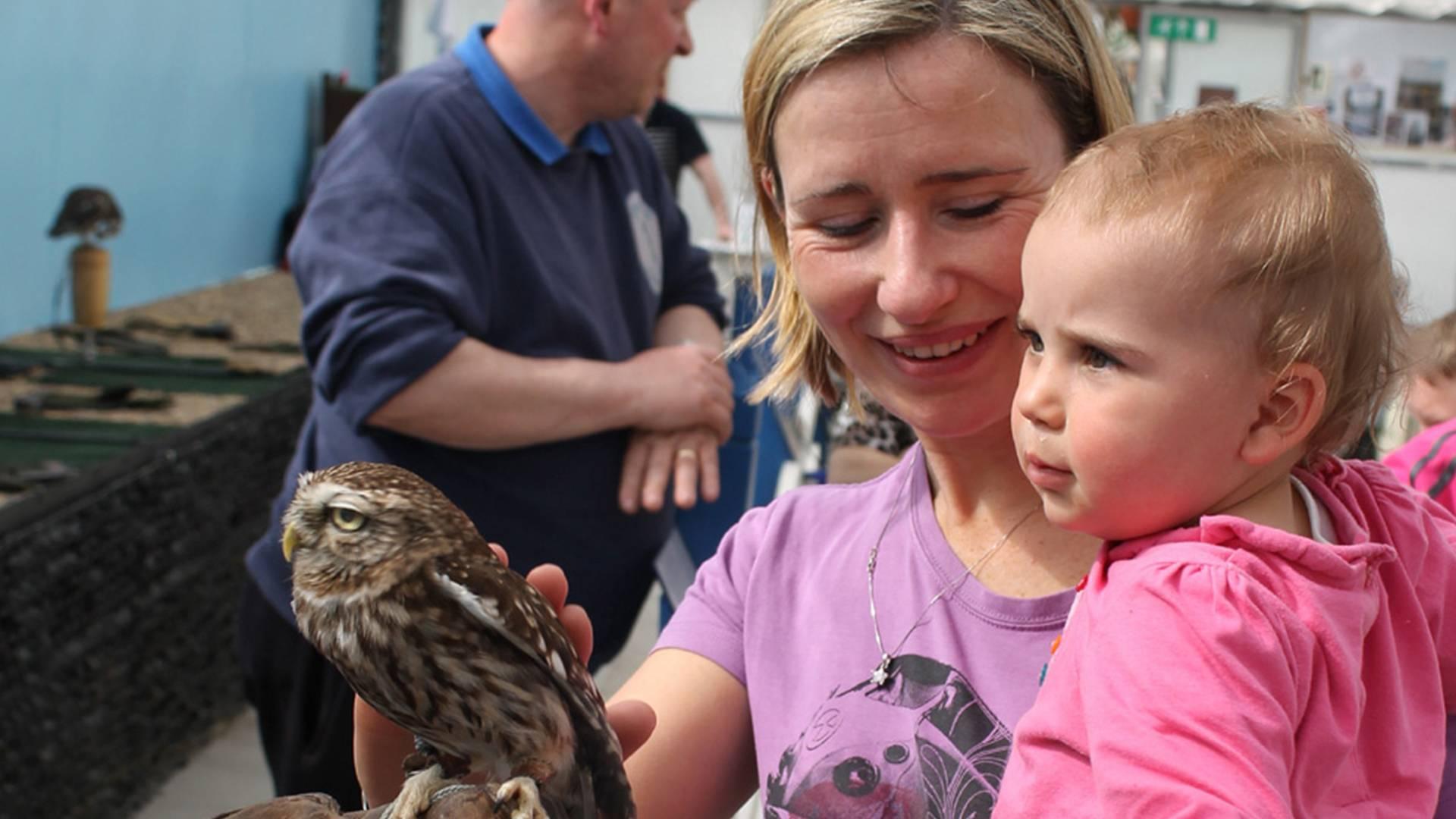 Jamb's Owls at Hall Place and gardens photo