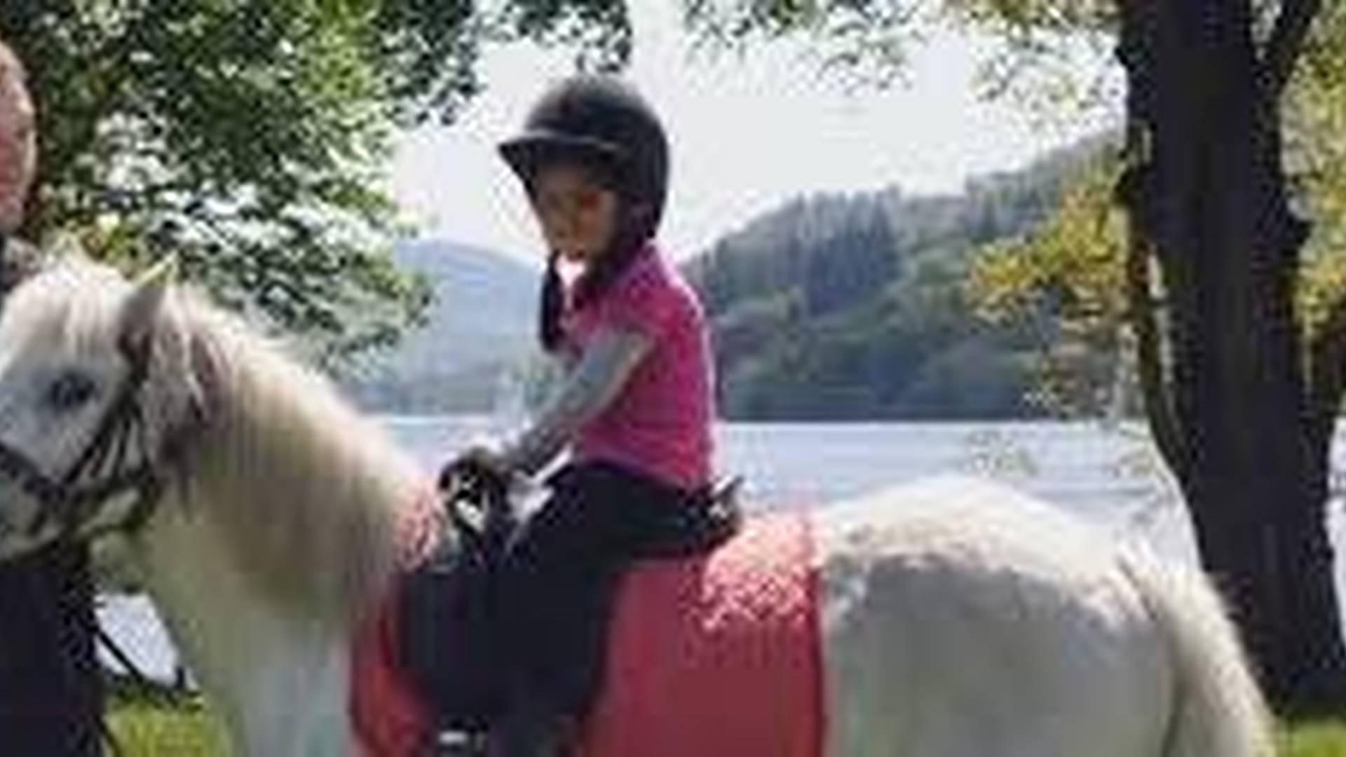 Ponies in the Park- 1st September photo