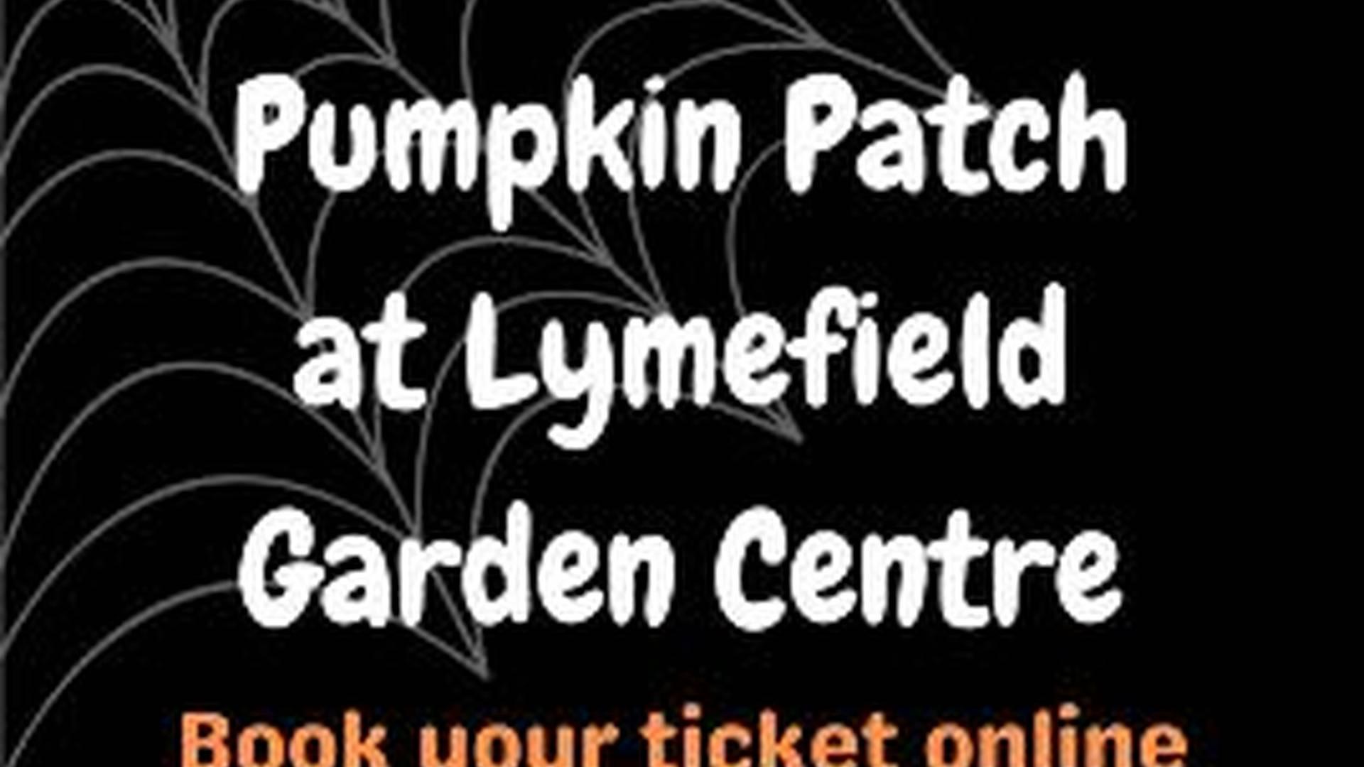 Pumpkin Patch photo