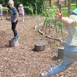 Activity image