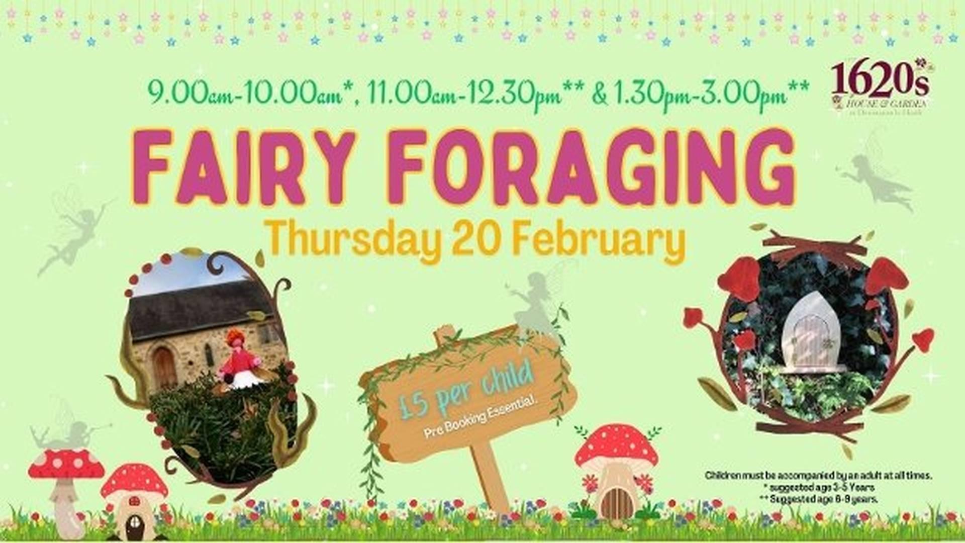 Fairy Foraging photo