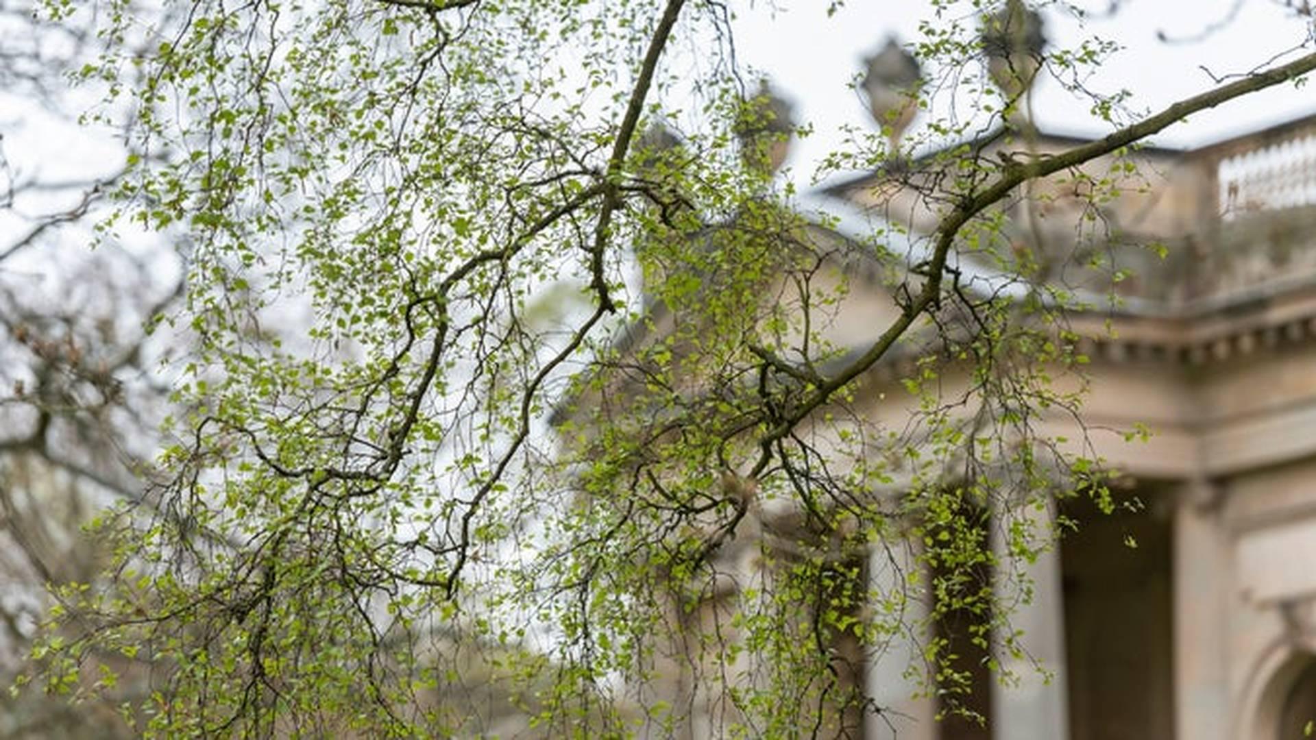 Festival of Blossom: moth and butterfly trail at Gibside | Hoop