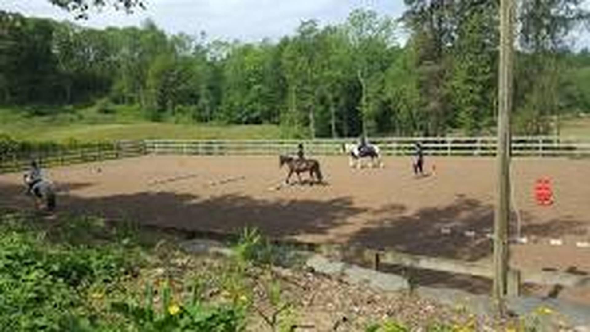 Horse and Rider Camps photo