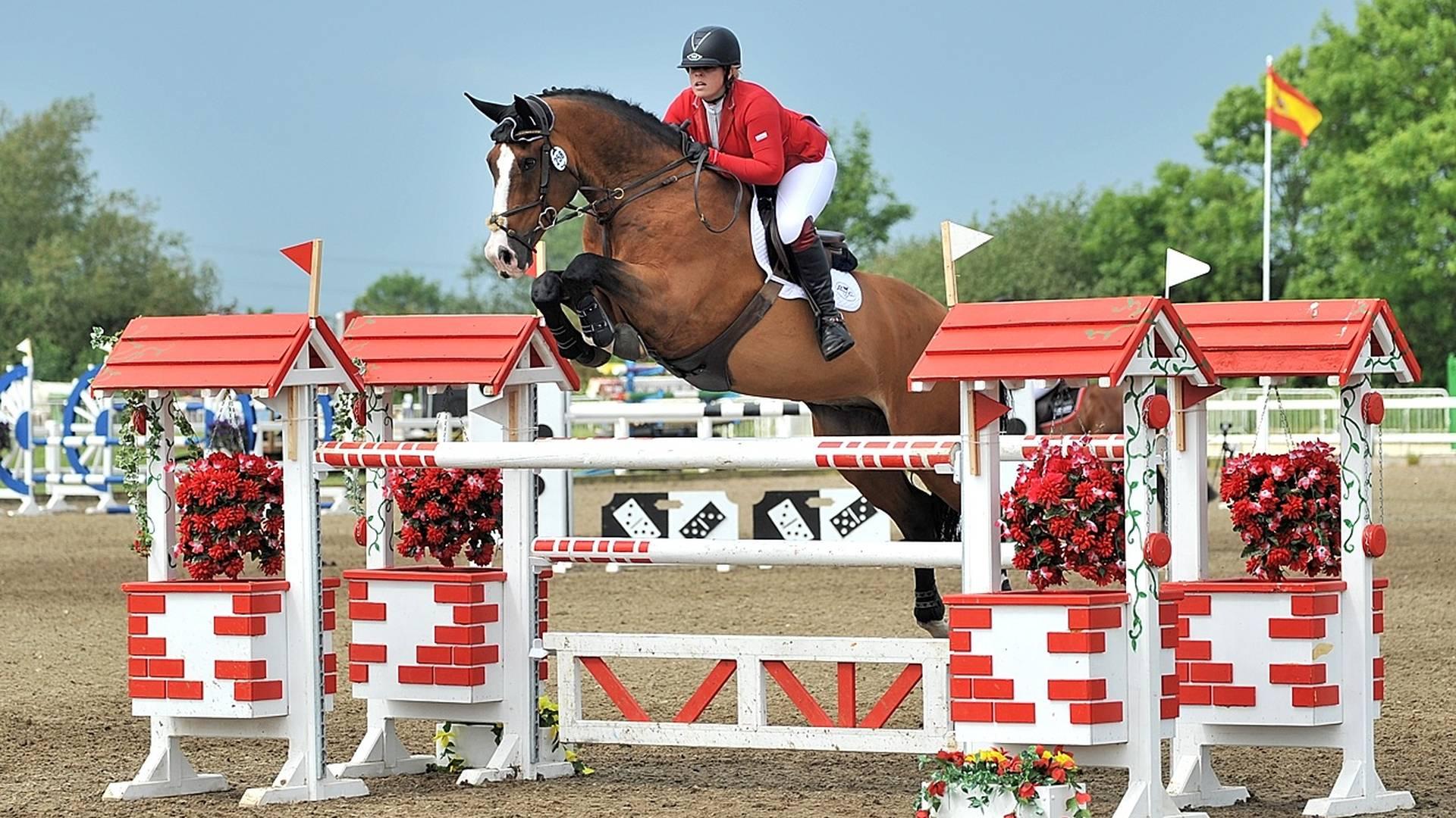 Nervous & Novice Show Jumping Clinic With Faye Malkie photo