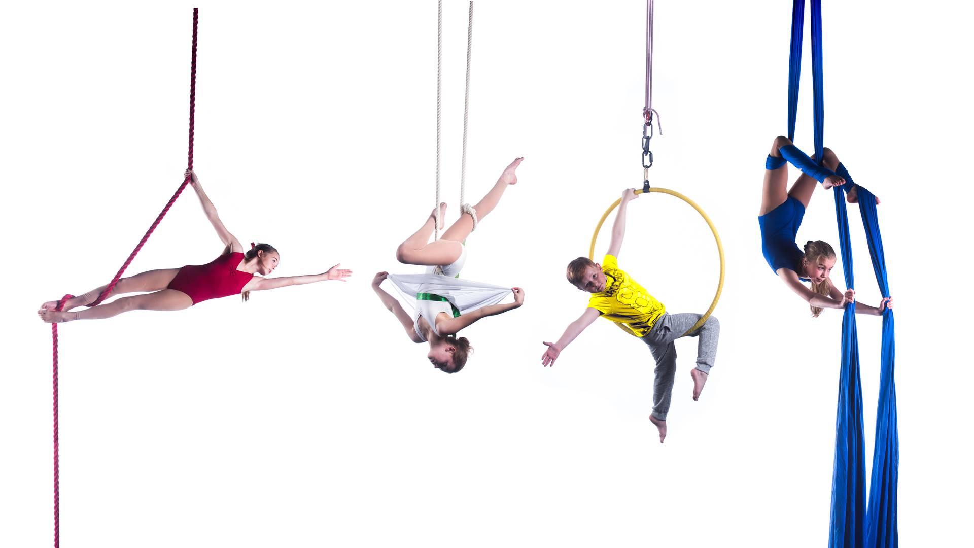 Circus Dreams photo