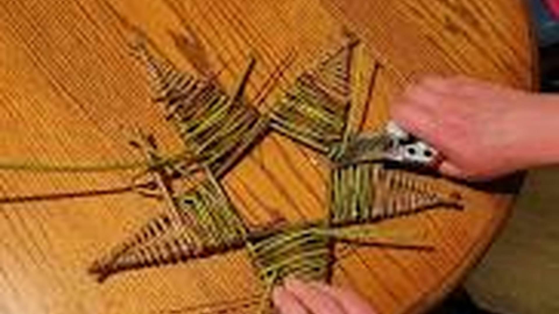 Family-friendly activity morning photo